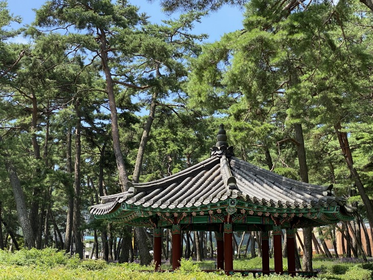 0821-1화북면 상오리 맥문동 소나무 숲 정자 현판식.jpg