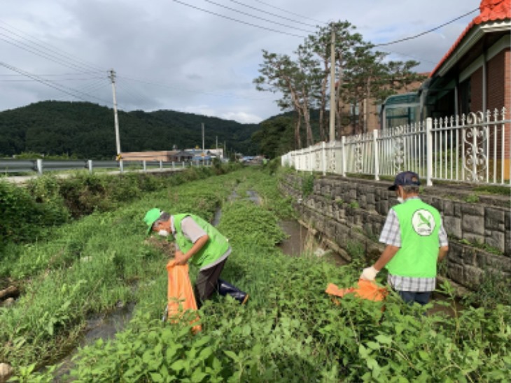 0903-5은척면 행락지 주변 환경정화활동 펼쳐.jpg